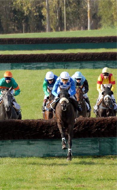 Course d'obstacles, saut de haies