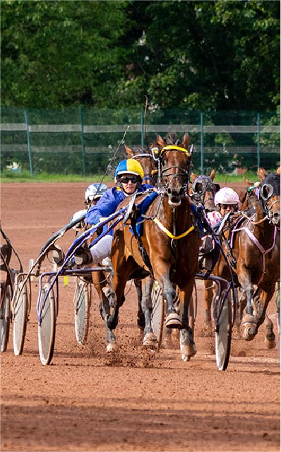 Course de trot attelé