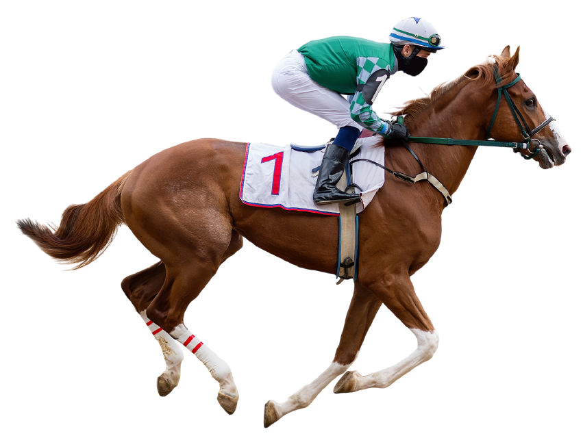 Cheval au galop